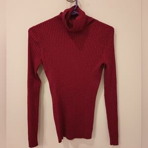 Express Sparkly Red Turtleneck